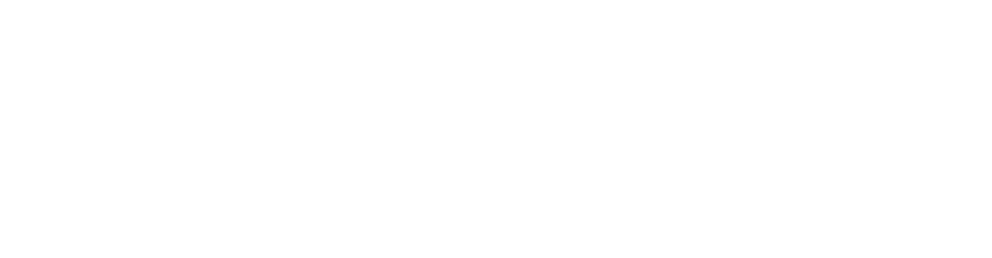 SENVY-Logo-white